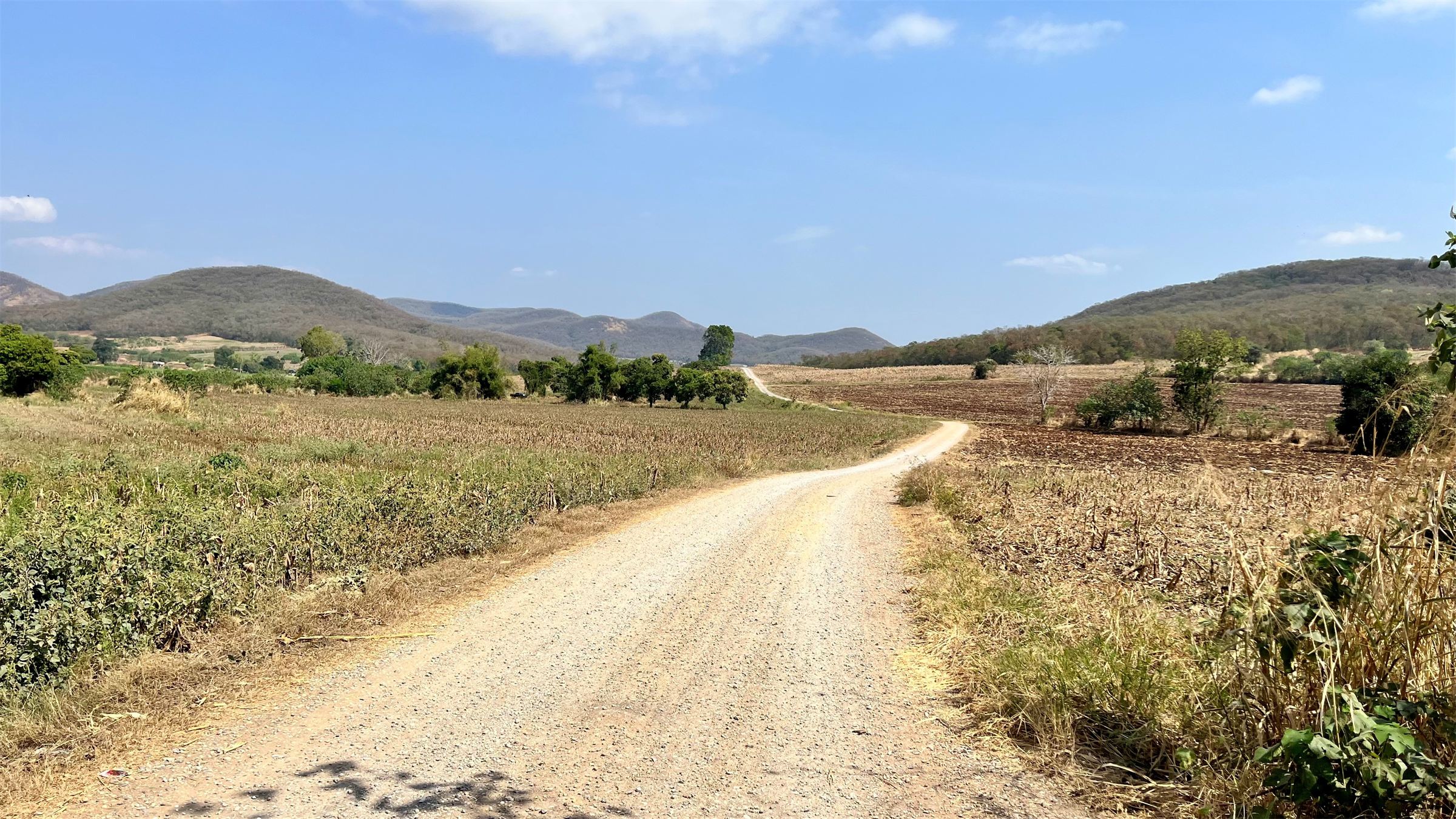 Gravel road leading through open fields towards the hills